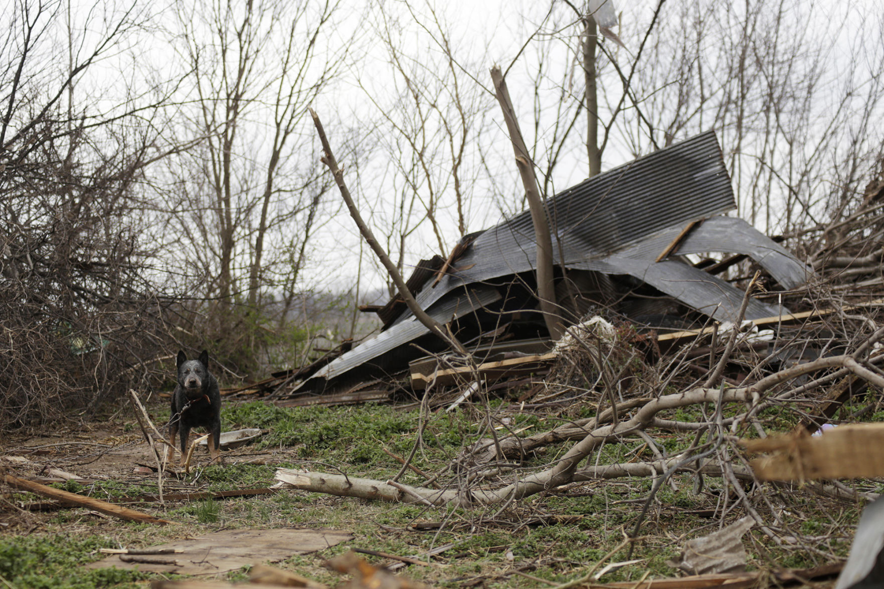 Vergennes tornado damage